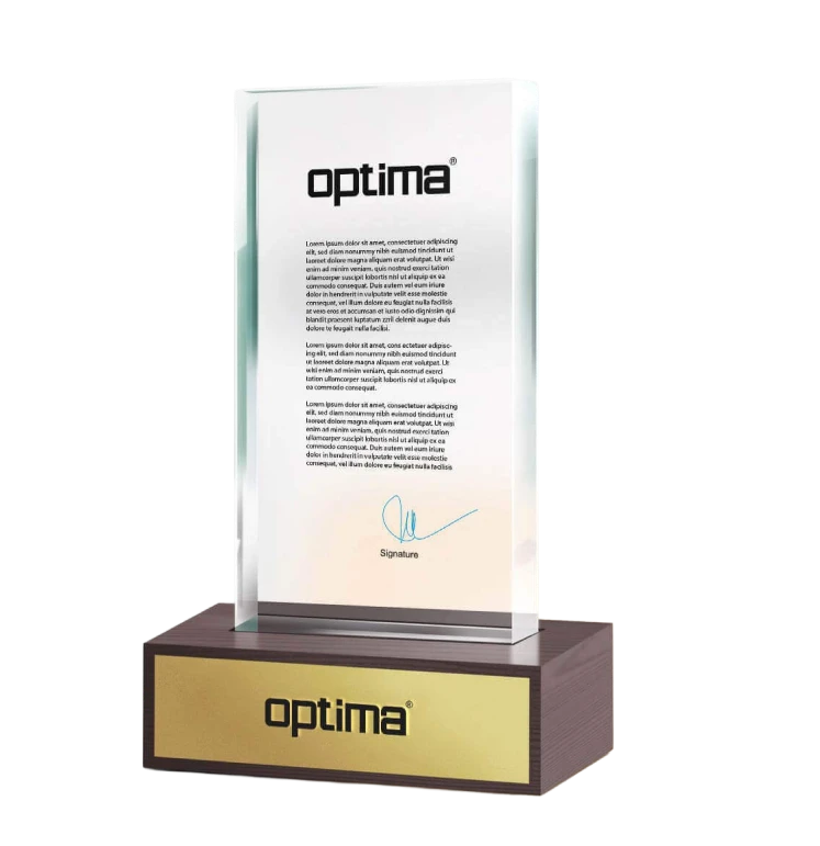 الجوائز والإنجازات